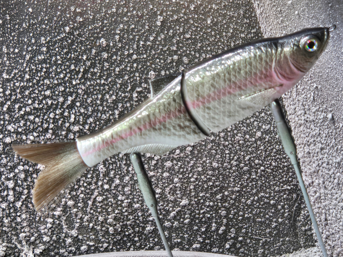 Mimic Glide 7.5 Creek Chub Custom Painted in house