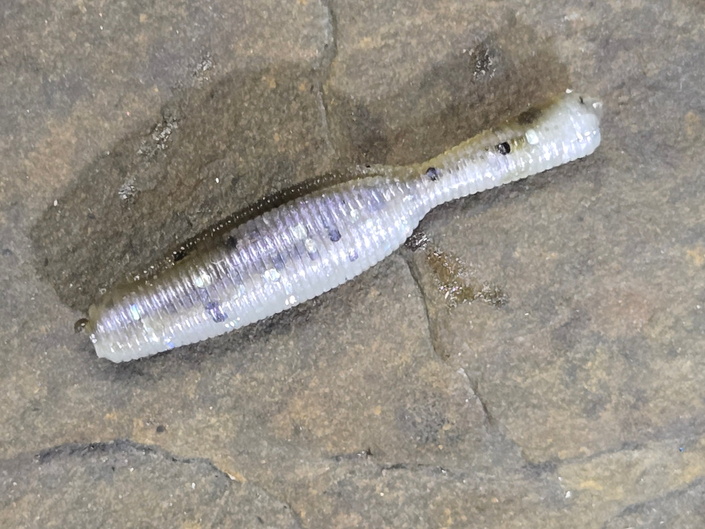 Mimic Slug Bait Fish