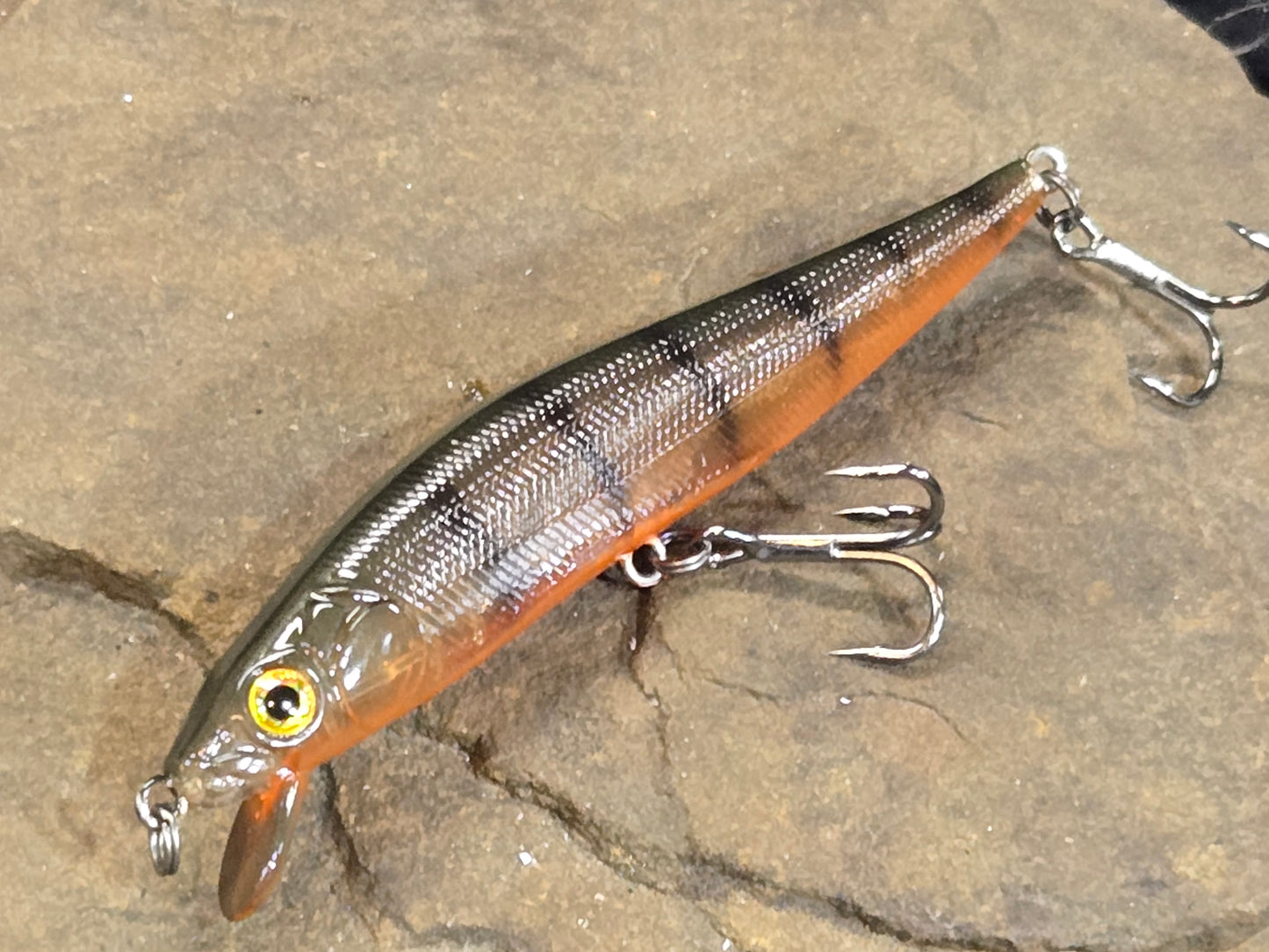 Seekers Srs. 4" Phantom Craw