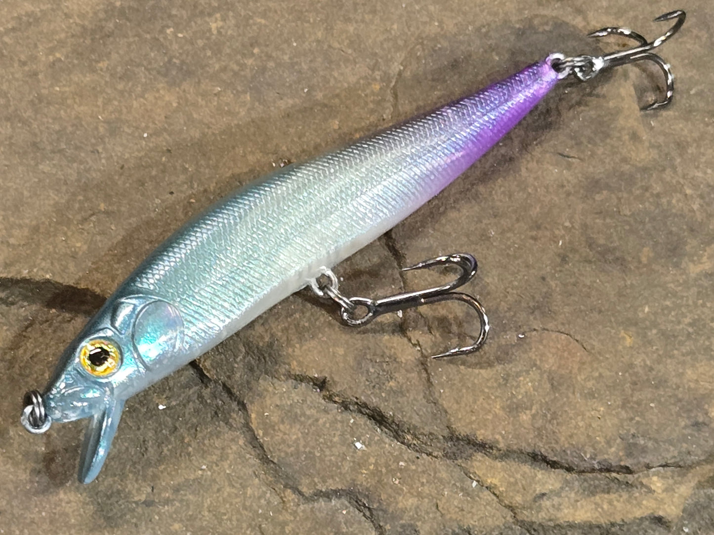 Seekers Srs. 4" Creek Chub