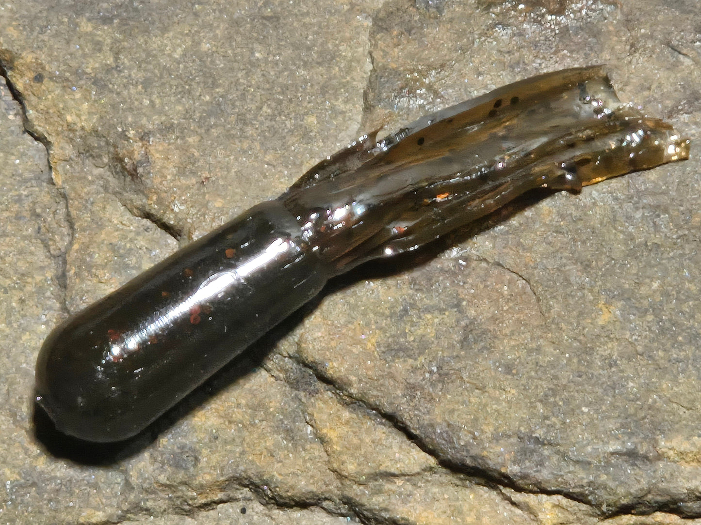 Mimic E-Tube Green Pumpkin 005