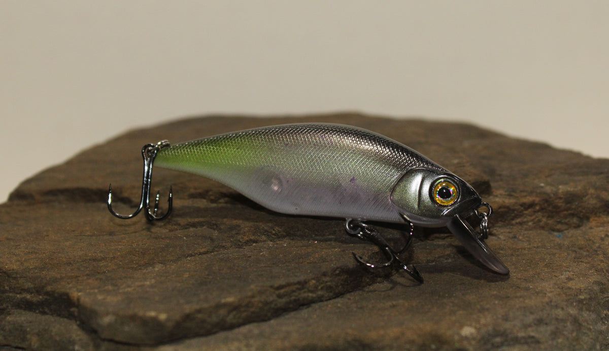 Seeker SRS Hard Shad 3.5"