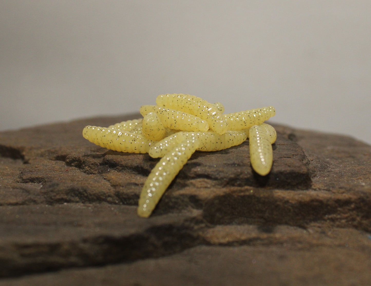 Wax Worms