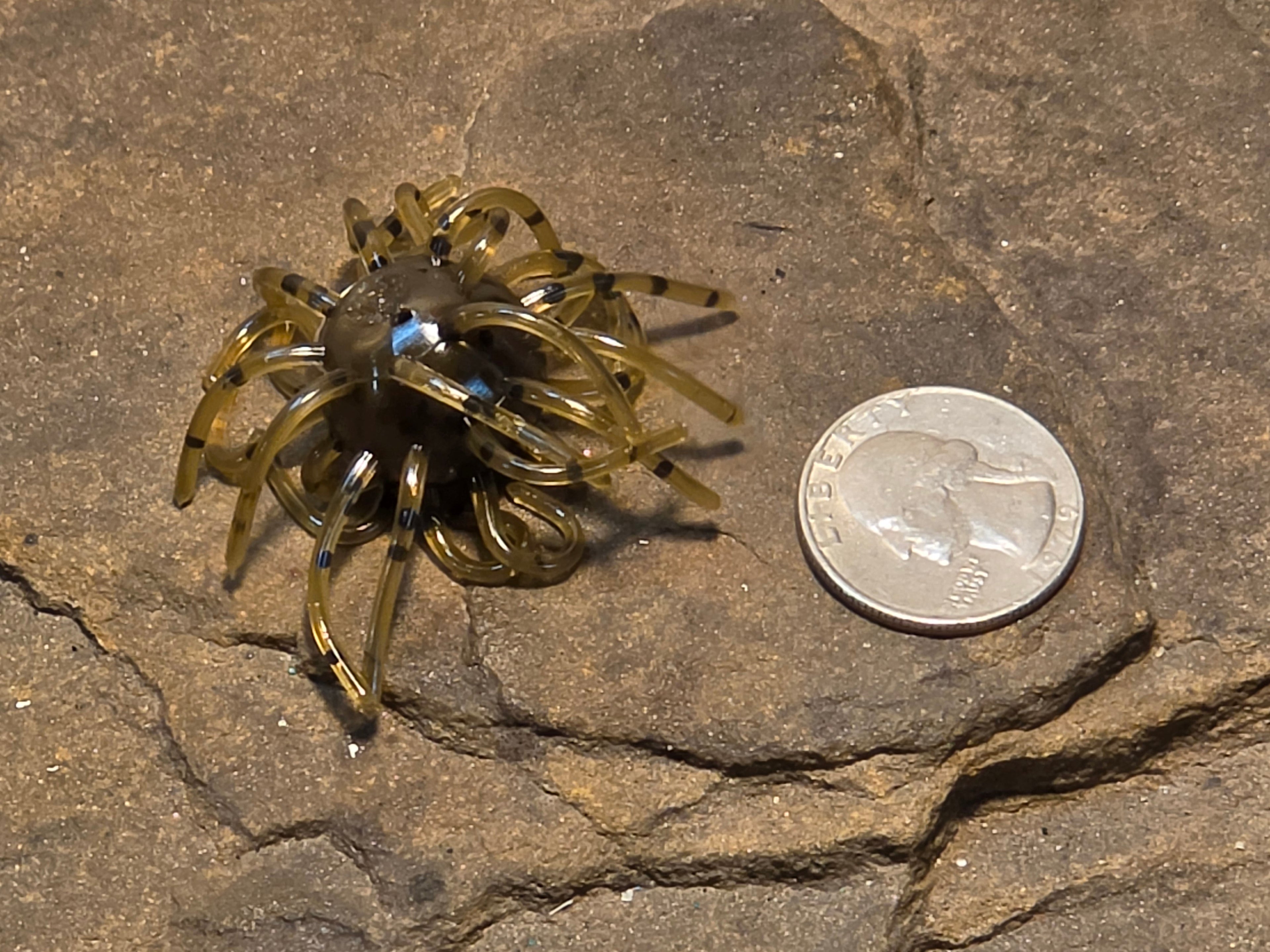 Mimic Star Fish 3/4" 2.5"