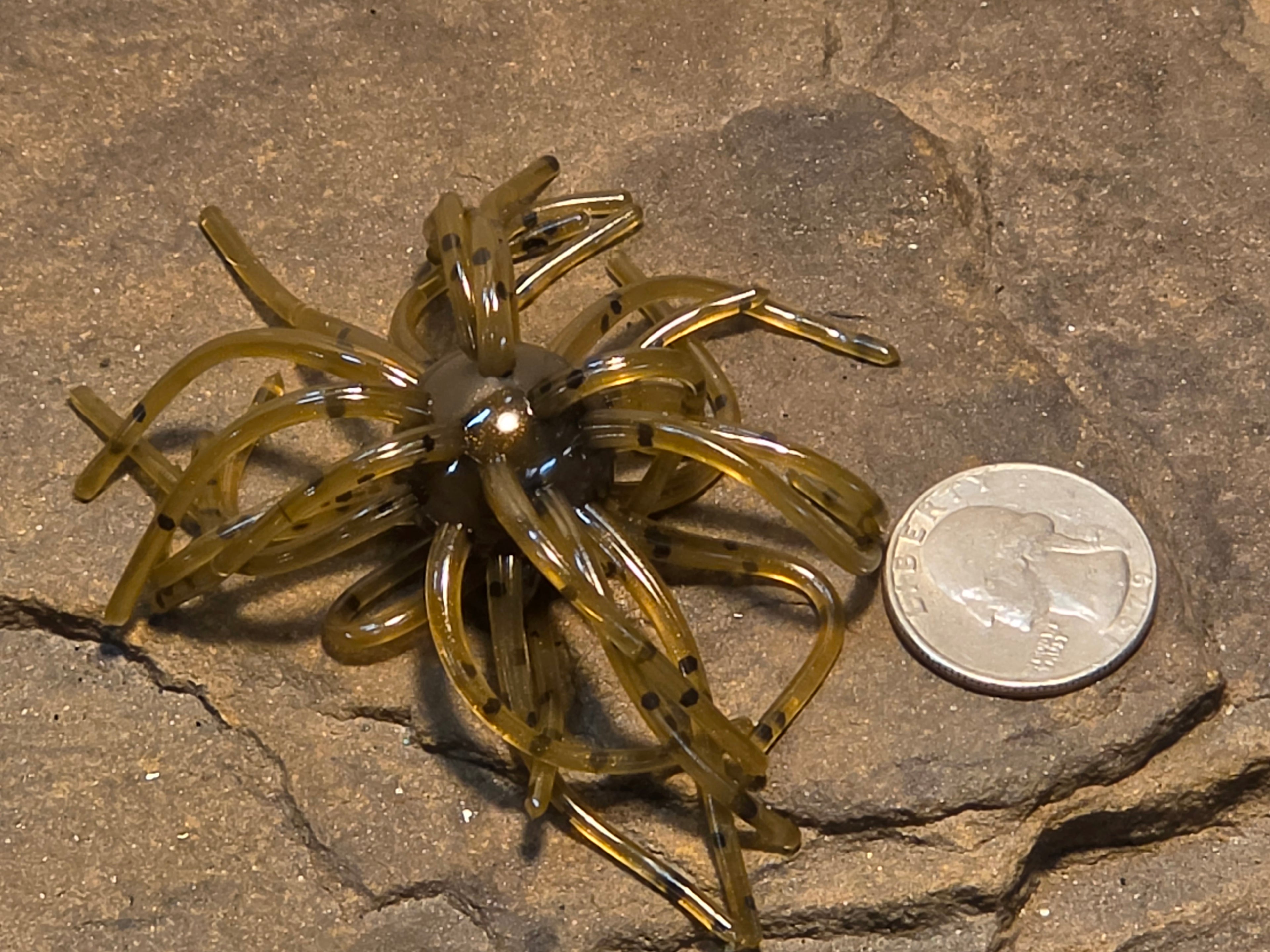 Mimic Star Fish 3/4" 4" 1 Pk Brown Green Pumpkin