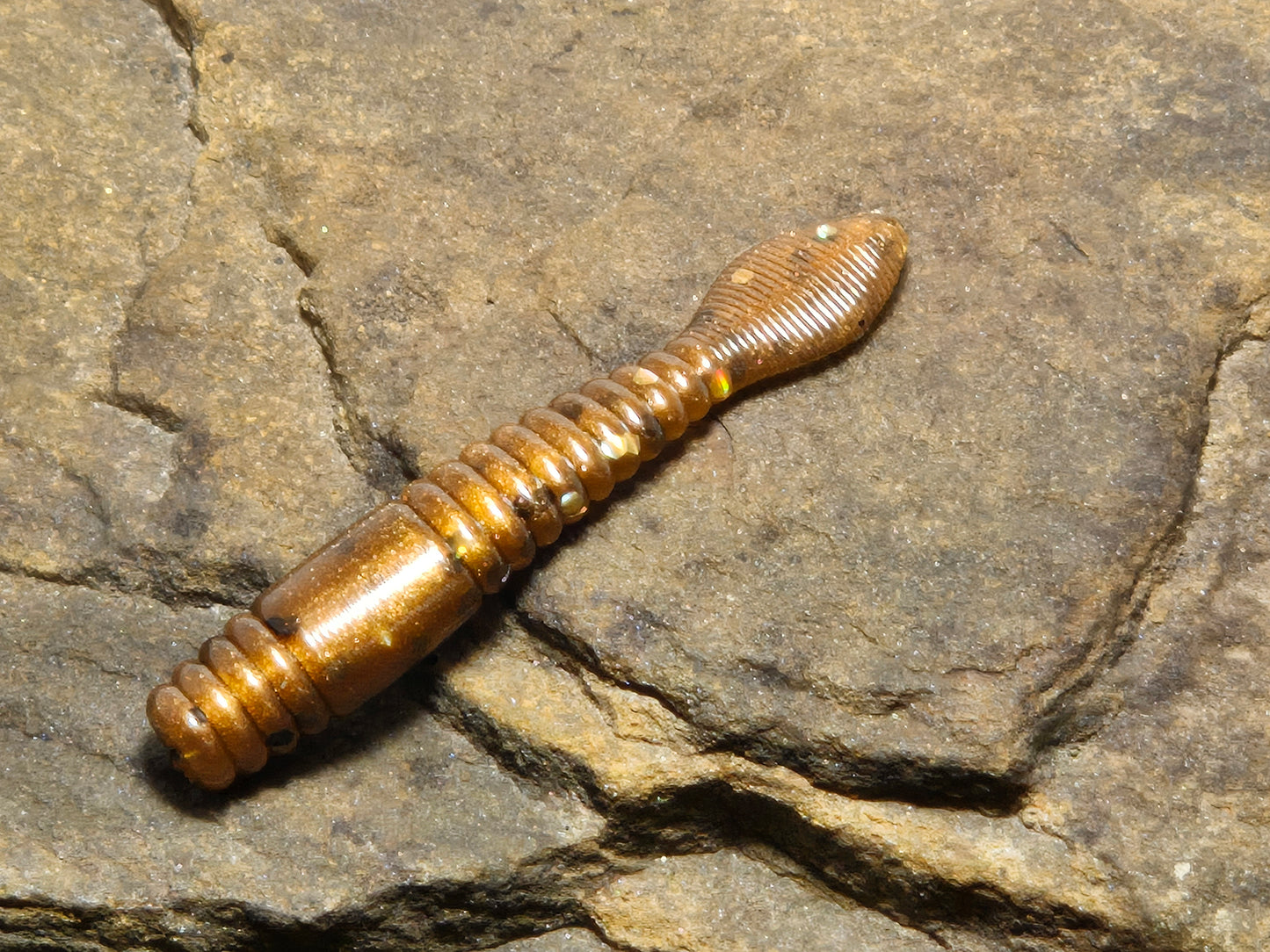 Ned Crawler 2.75" 10 pk