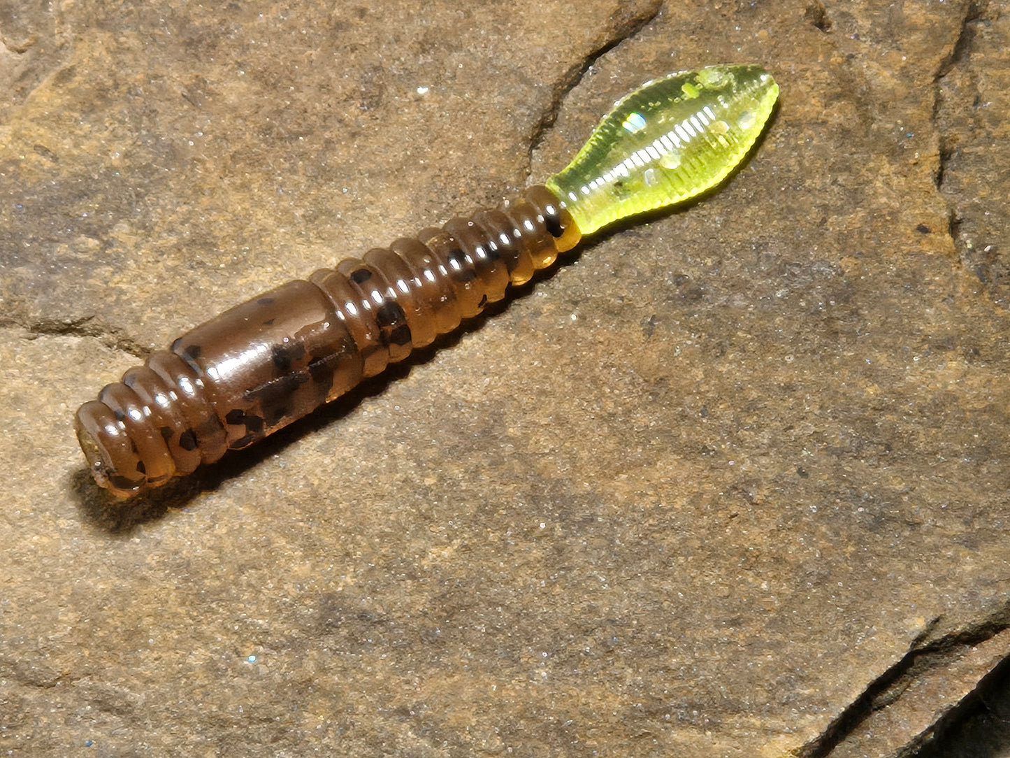 Ned Crawler 2.75" 10 pk