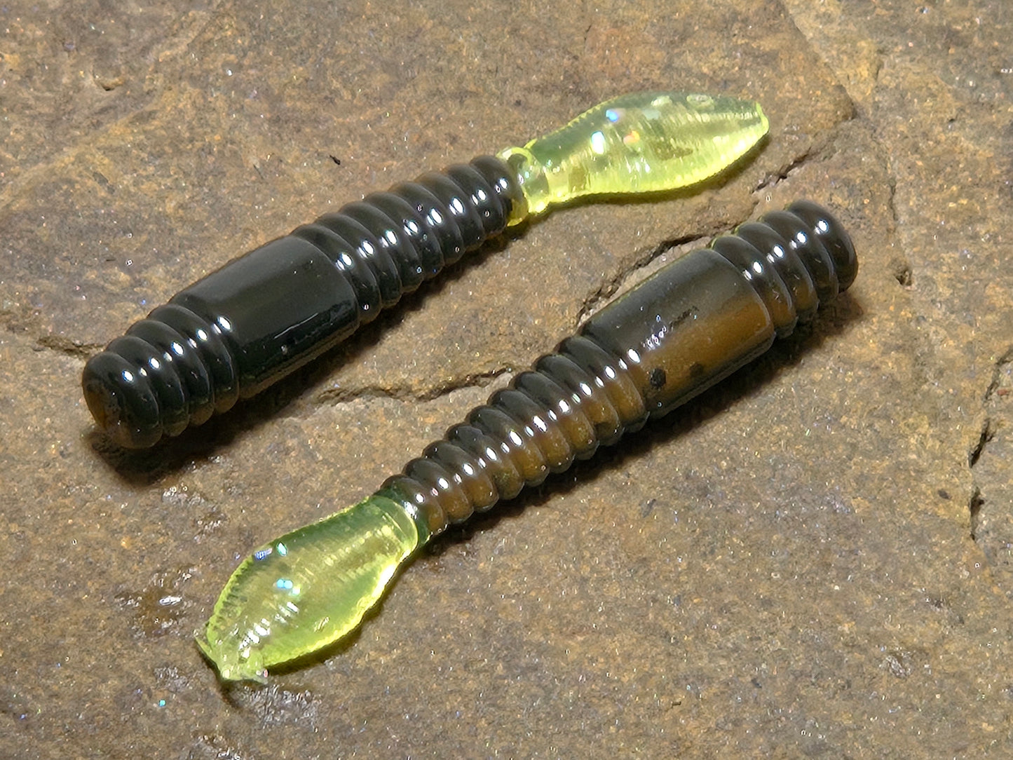 Ned Crawler 2.75" 10 pk