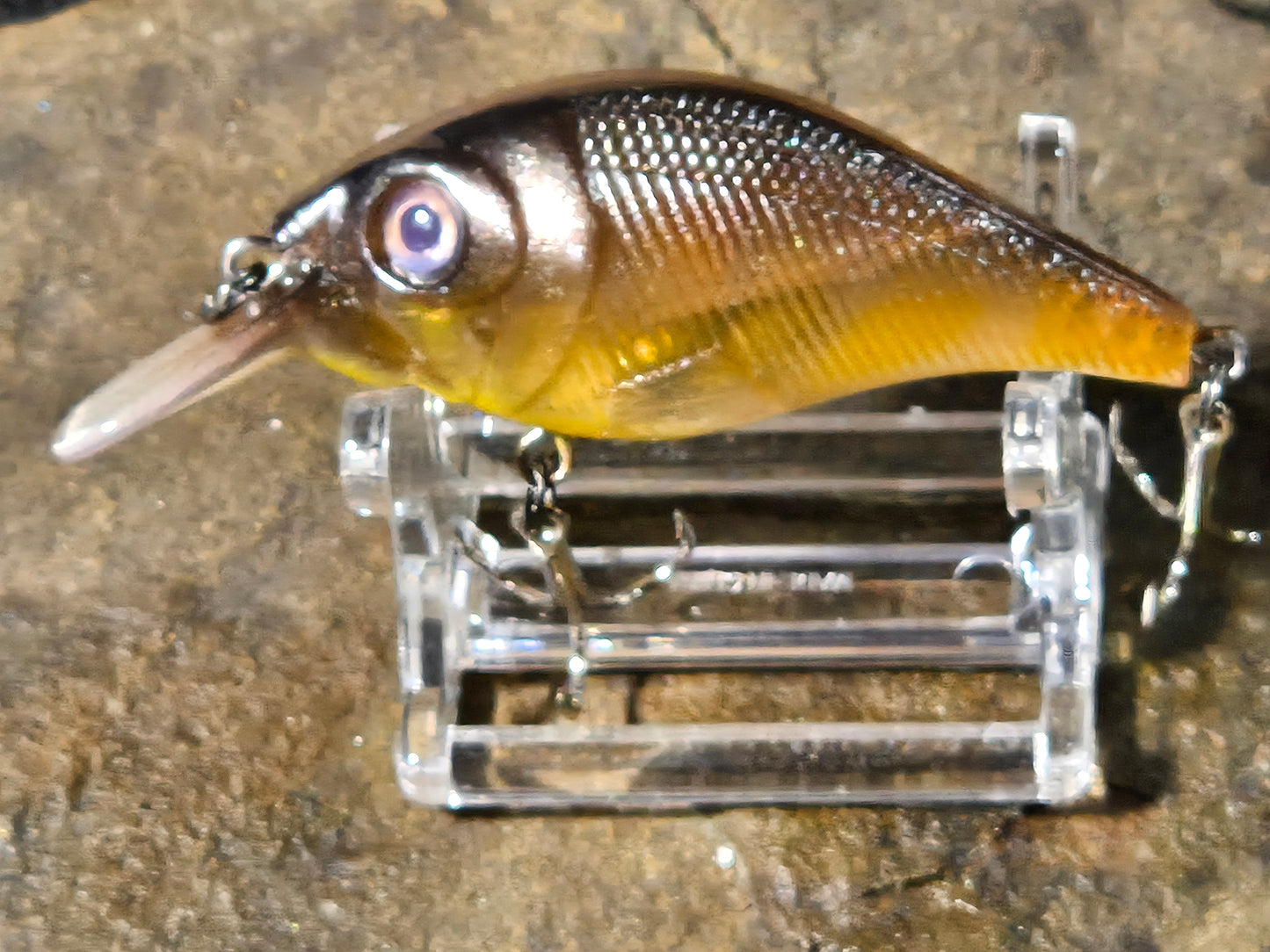 Seeker SRS Crankbait