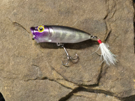 Mimic R-Pop Purple Shad