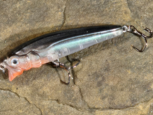 Mimic Crippled Mino Orange Shiner