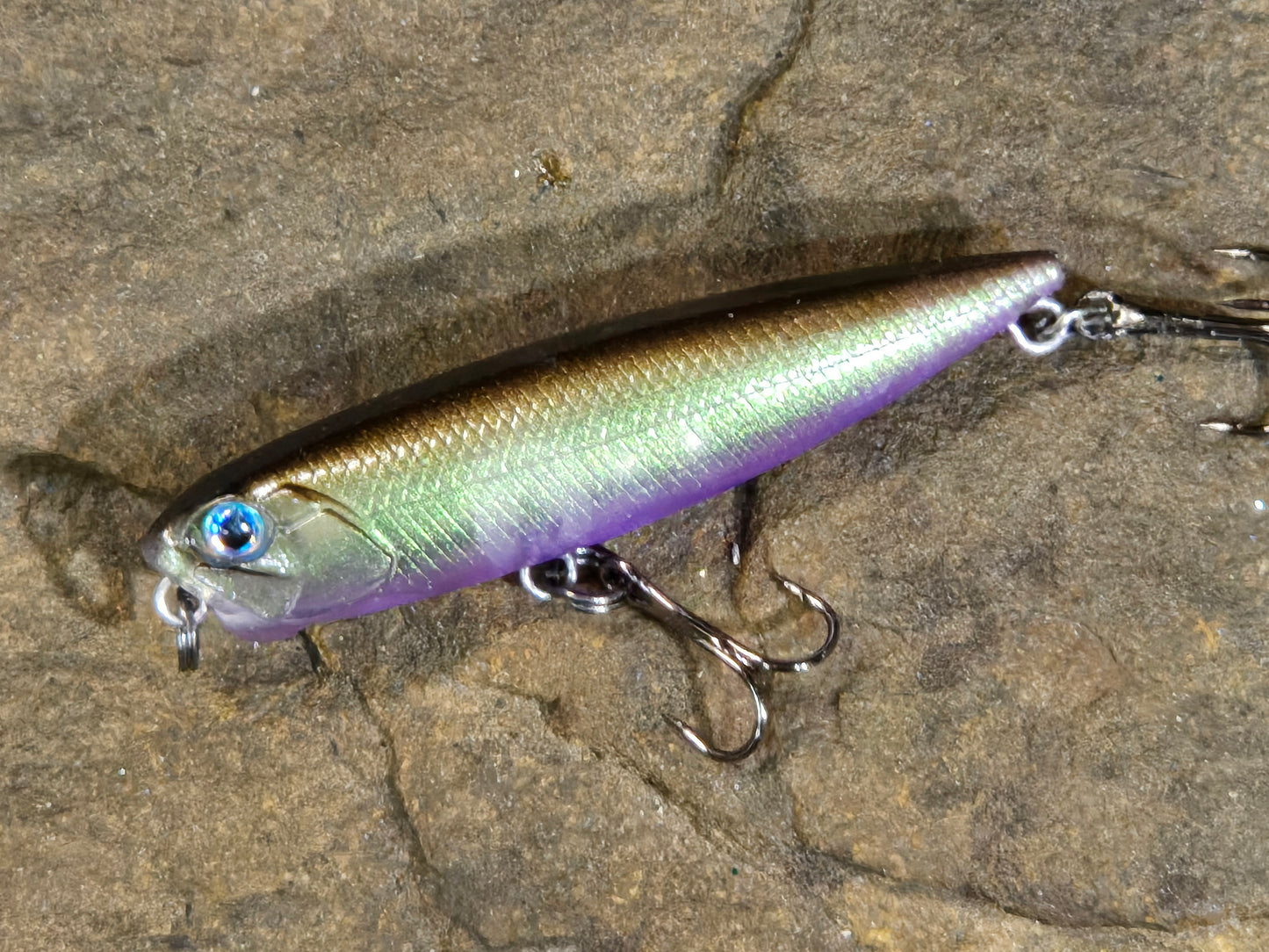 Mimic Stalker Purple Haze