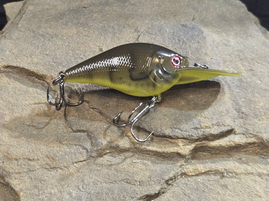 Mimic Deep Cranking Shad Susqy Craw Yellow Belly