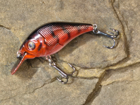 Mimic Crankin Shad Nest Robber