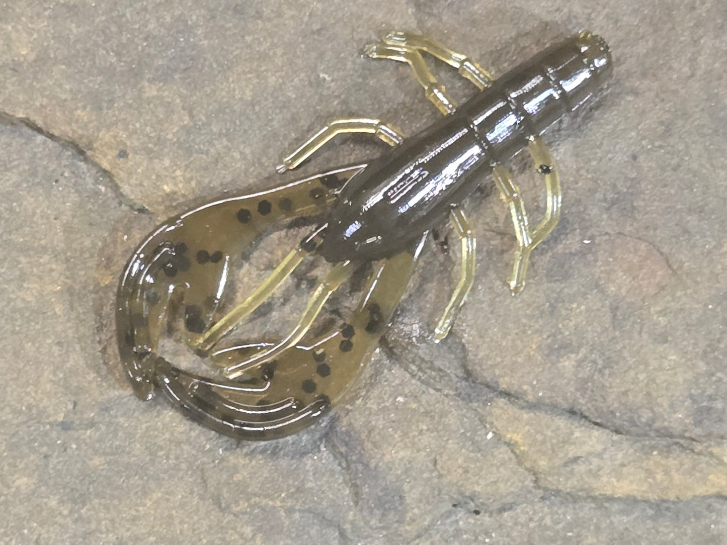 Mimic Thunder Craw 2.5 Brown Green Pumpkin 041