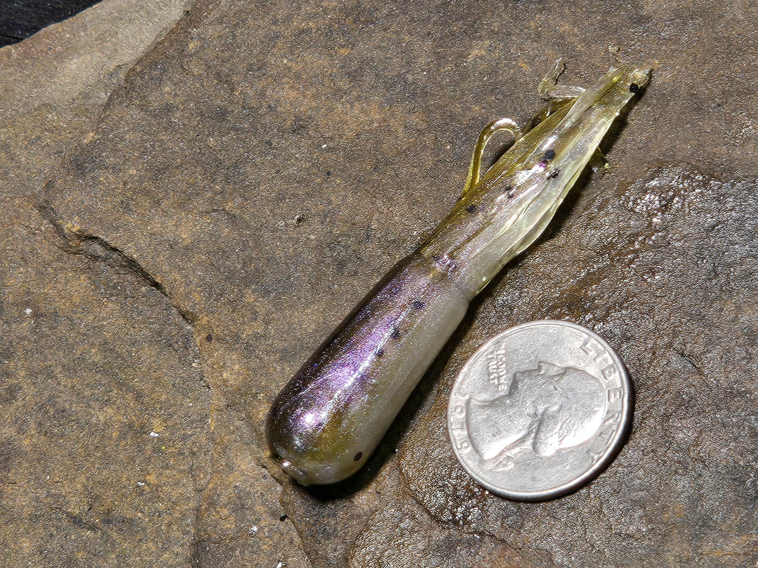 Mimic E-Tube 2075 Bait Fish