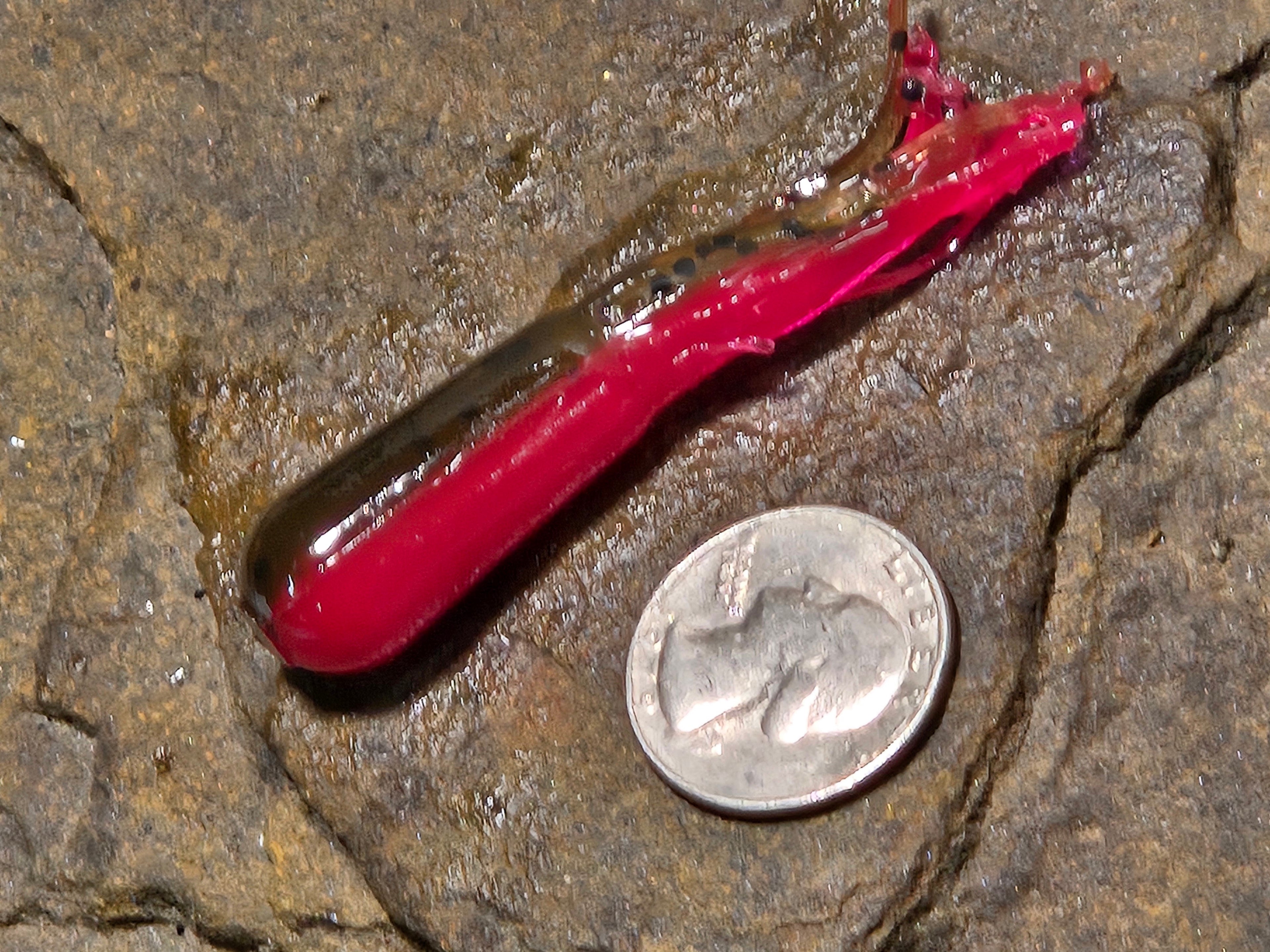 Mimic E-Tube 2.75 G/P/R 041 Red