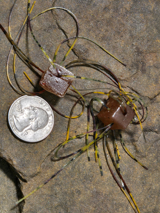 Snake Eyes Orange Thing