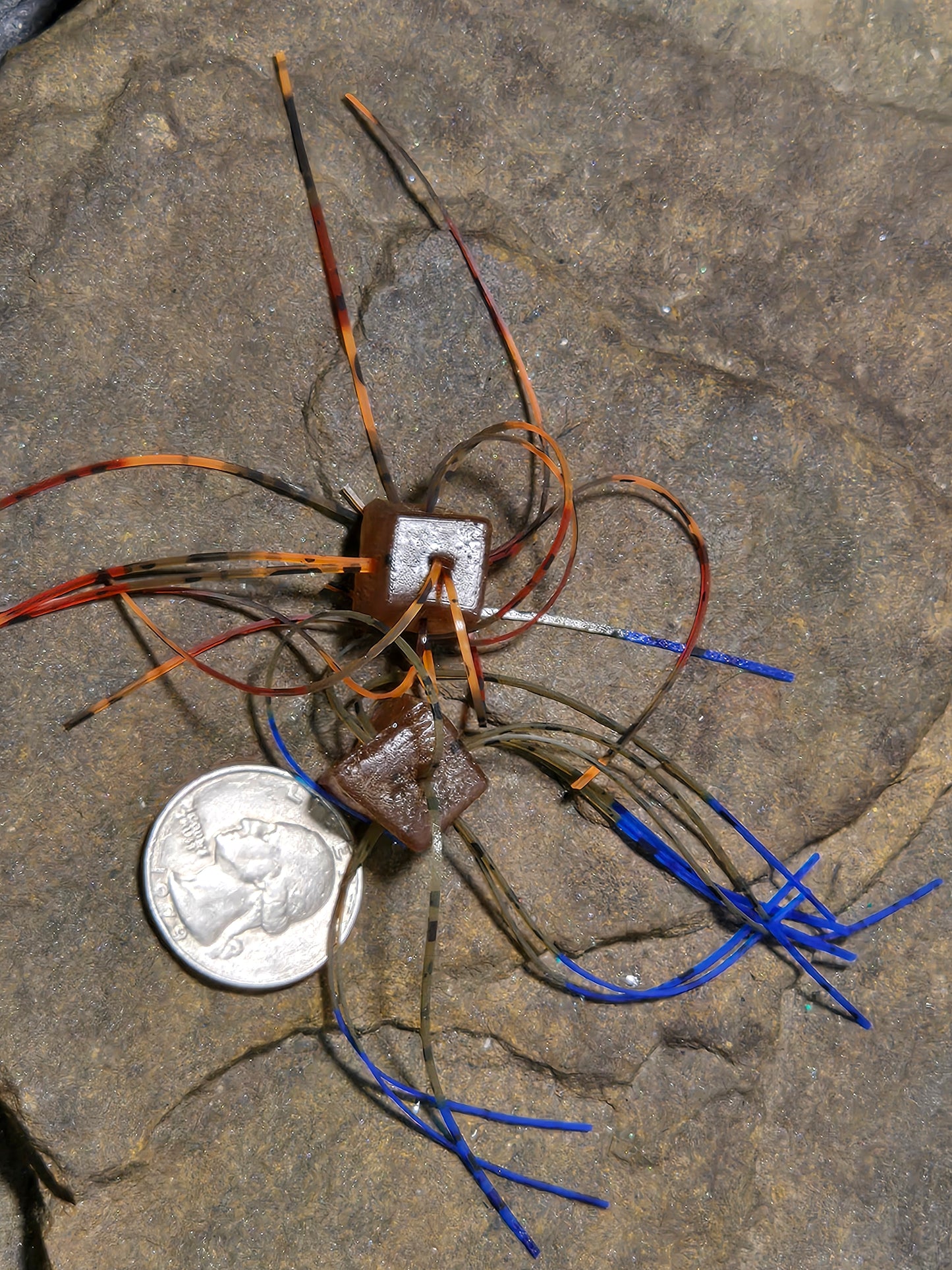 Snake Eyes Brown Blue