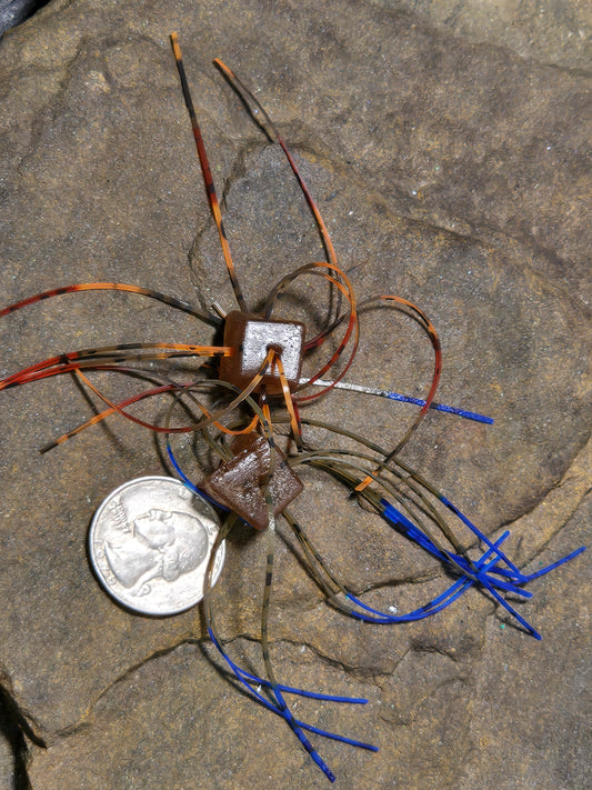 Snake Eyes Brown Blue