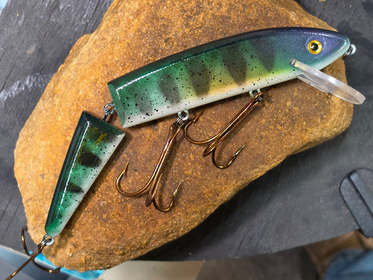 Mimic Muskie Hunter 8" Perch