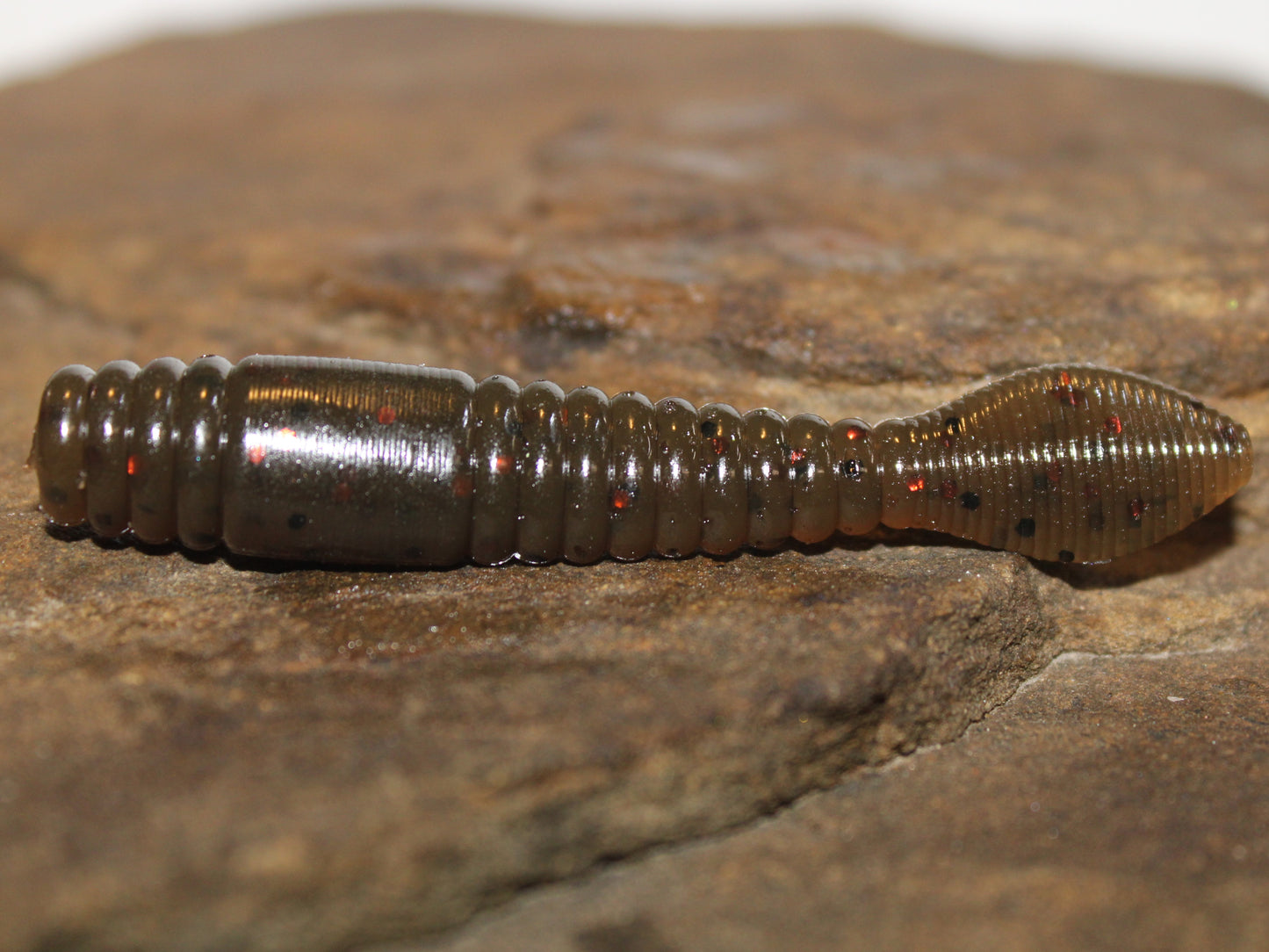 Ned Crawler 2.75" 10 pk