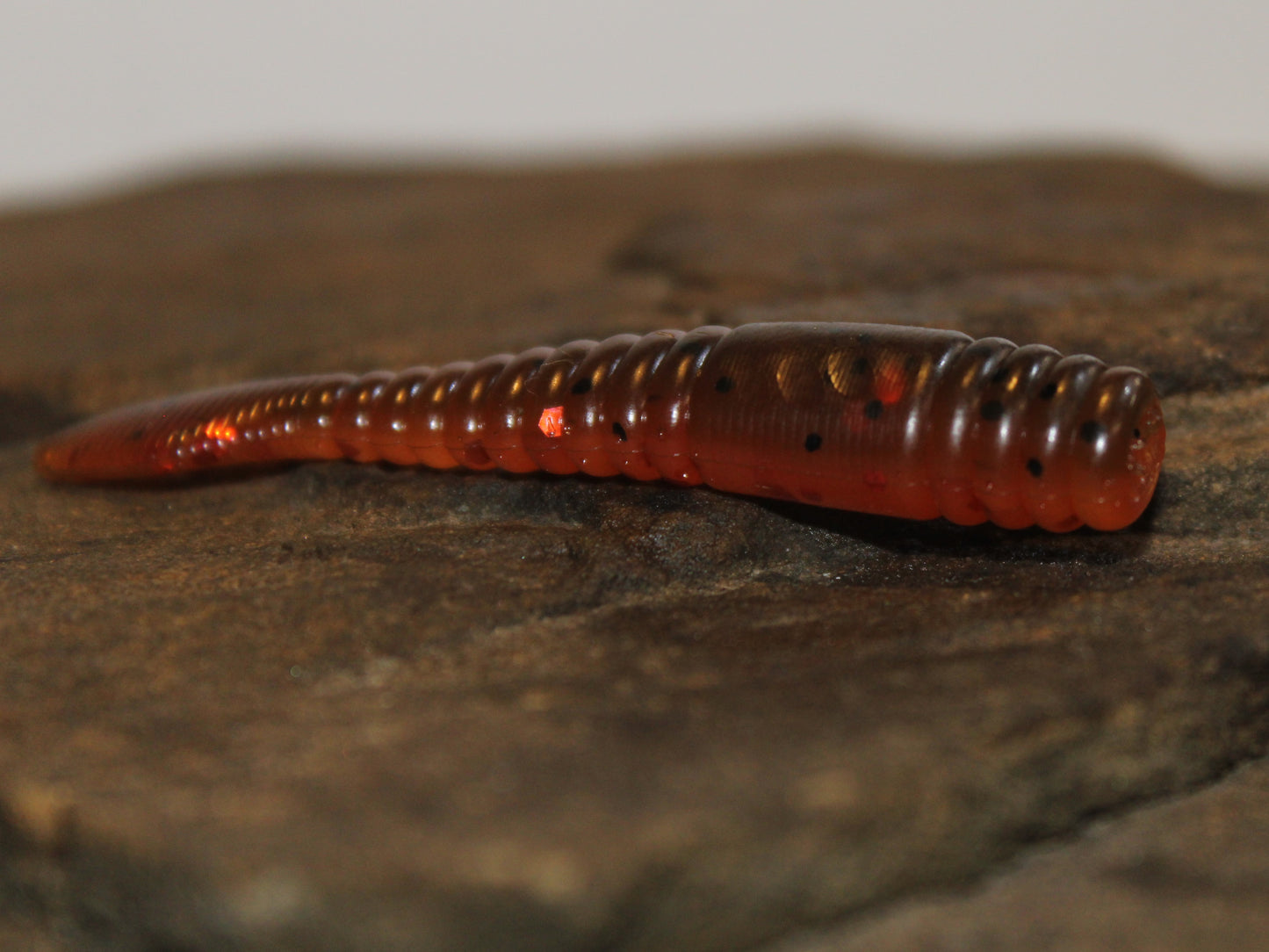 Ned Crawler 2.75" 10 pk