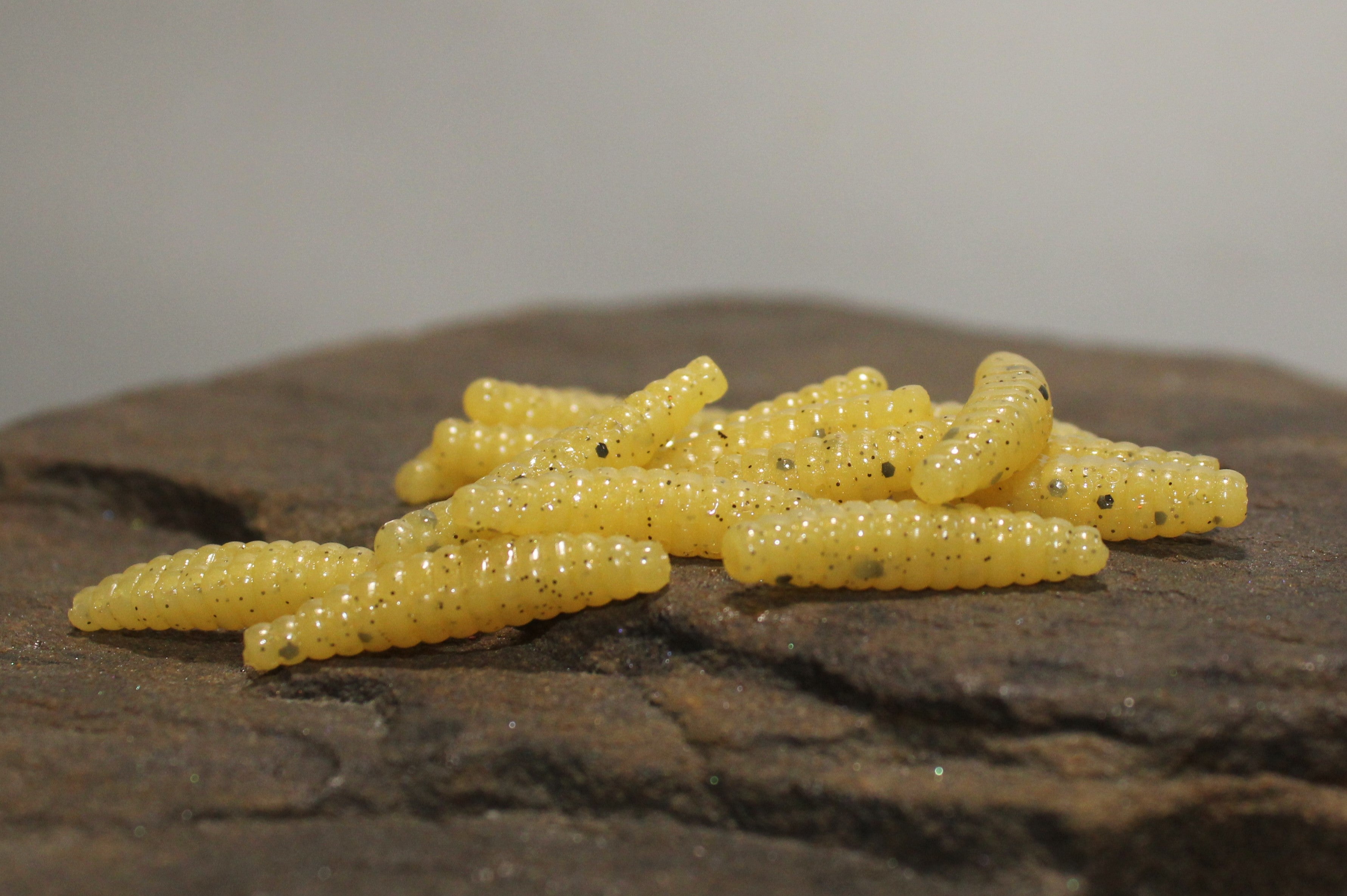 Butterworms